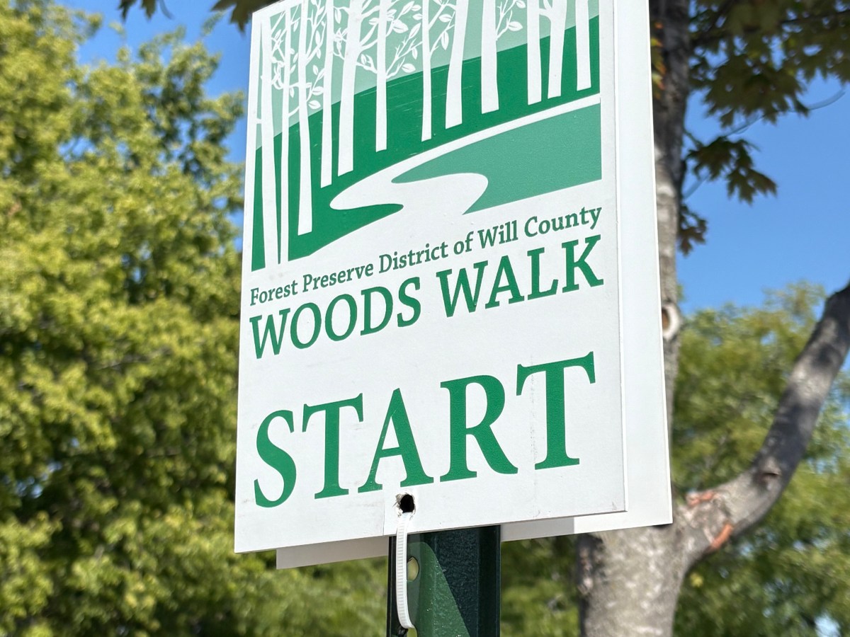Woods Walk –&nbsp;2026
